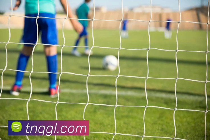 开运·体育(sport)官方网站APP 高清赛事图